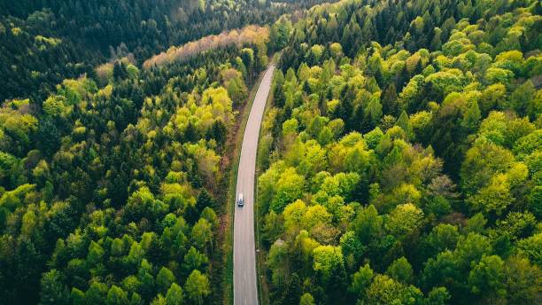 istock Aerial view of a route through a forest in Germany 1441835045