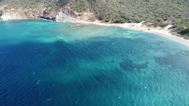 istock Aerial view of sea with sandy beach 1441835085