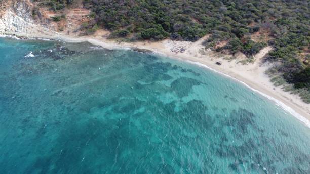 istock Aerial view of sea with sandy beach 1441835086