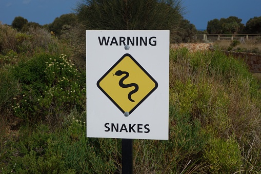 A white board with a yellow sign warning about snakes in a green area