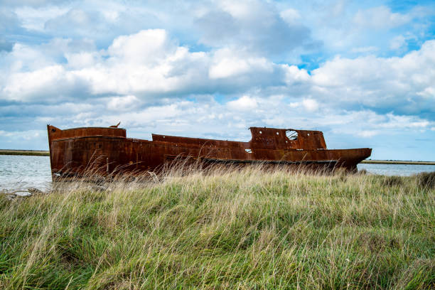 istock Old shipwreck in New Zealand 1441835879