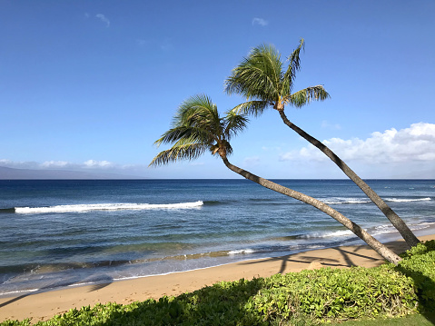 A closeup shot of the Kaanapali Beach in Maui, Hawaii
