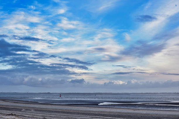 istock Breathtaking view of a sandy beach and cloudy sky at sunset 1441837324