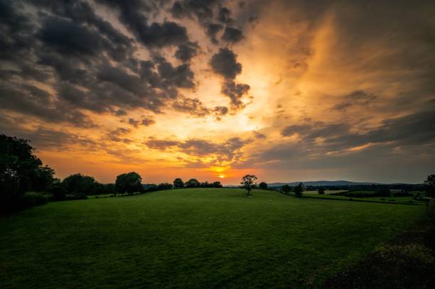 istock Aerial view of greenery field surrounded by trees during sunset 1441838223