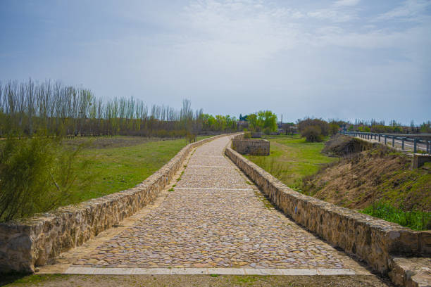 istock Scenic view of a pavement pathway in a park under a clear blue sky background 1441838567