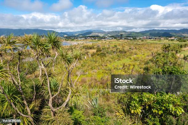Waikanae Estuary Scientific Reserve Kapiti Coast New Zealand Close To Paraparaumu Stock Photo - Download Image Now