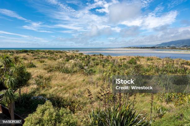 Waikanae Estuary Scientific Reserve Kapiti Coast New Zealand Close To Paraparaumu Stock Photo - Download Image Now