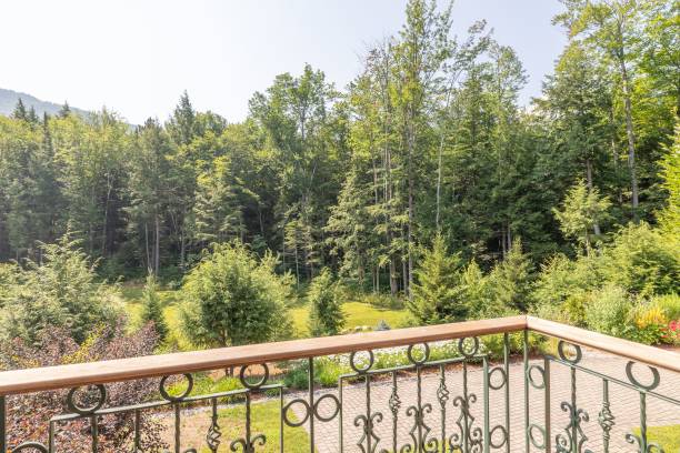 istock Balcony view of the woods from a mansion 1441839441