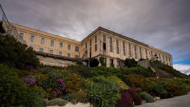 istock Alcatraz prison island on a cloudy day 1441839842