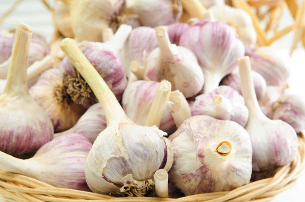 istock garlic bulbs of many varieties 1441841855