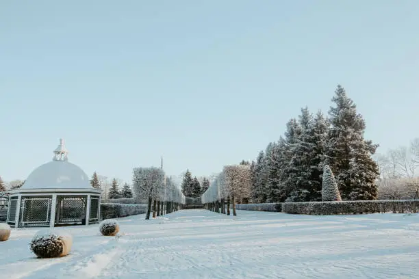 Photo of Trees and fountains in Grand Cascade of Peterhof, Russia in winter