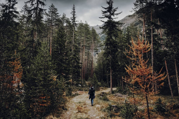 istock Woman walking on a pathway in a green gloomy forest 1441844397