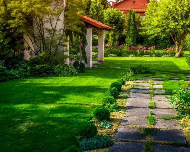 istock Back yard of a private house 1441844436