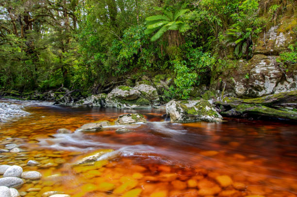 istock Shot of brown river called whiskey river 1441844923