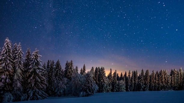 istock Magical winter forest under the mesmerizing starry sky at sunset 1441845155
