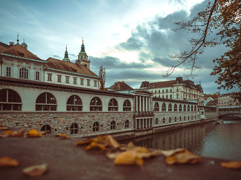 Fallen leaves on the bridge of the European city