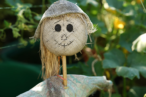 A closeup shot of a lovely scarecrow with a happy face in a green garden