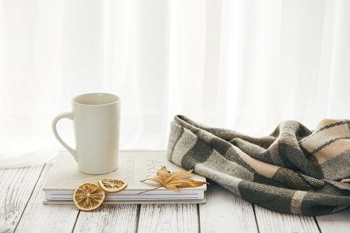 A closeup of a mug on a journal on the wooden table with a blanket on it