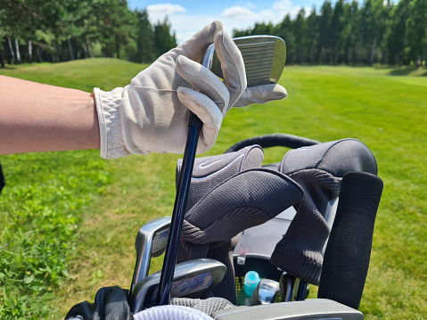 Professional golfer takes one of clubs out of bag before playing outdoors. Hand chooses a golf club from bag