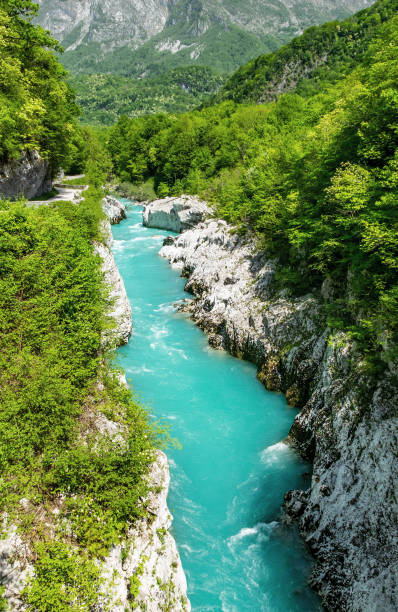 istock Emerald river in canyon surrounded by lush greenery. Soca river, Kobarid, Slovenia. 1441847825