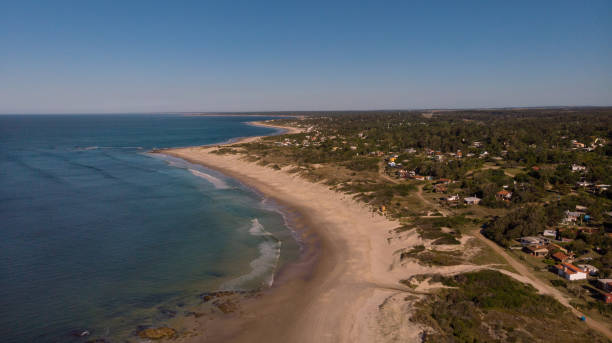 aerial shot of the coast of santa lucia del este-canelones in uruguay with buildings and trees - coastline aerial view forest pond imagens e fotografias de stock
