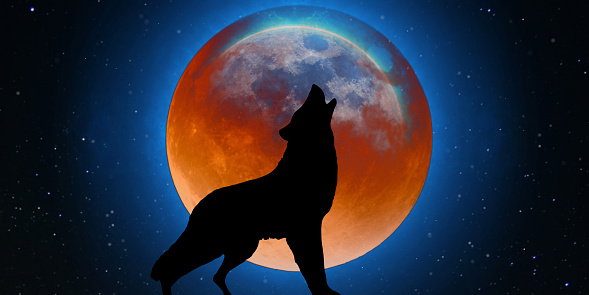 A silhouette illustration of a howling wolf against the gleaming moon in the shiny universe