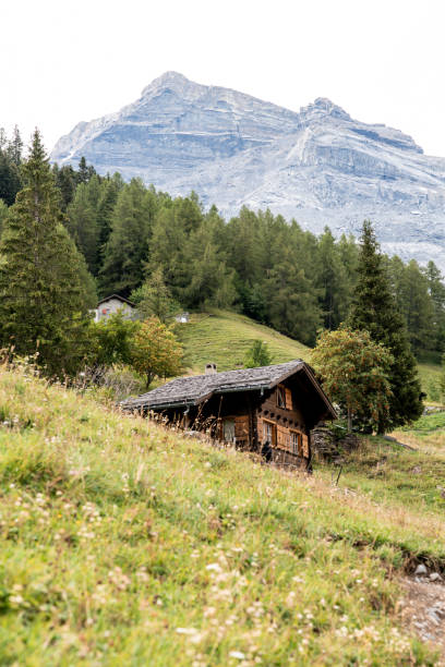 istock Vertical shot of Swiss Alps 1441850332