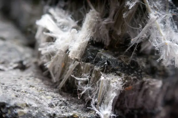 Photo of asbestos chrysotile fibers