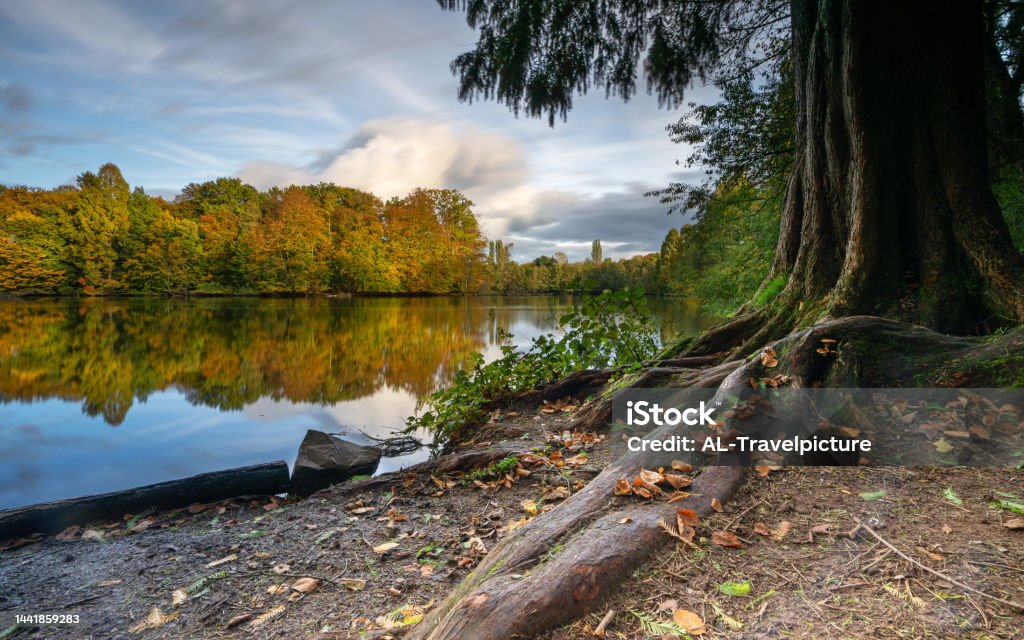 Bensberg Lake, Bergisch Gladbach, Germany Panoramic image of beautiful and idyllic Bensberg Lake, Bergisch Gladbach, Germany Beauty In Nature Stock Photo