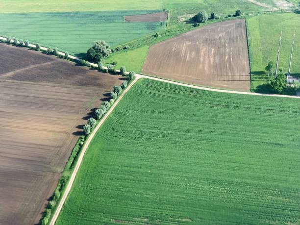 istock High Angle View Of Agricultural Field 1441863435