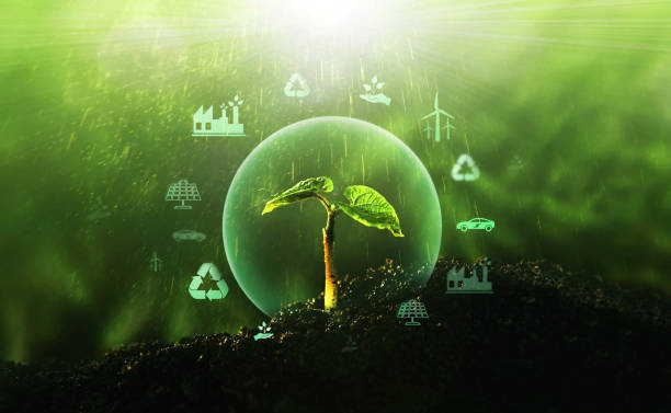 再生可能で持続可能な開発のためのソース。環境とエコロジーの概念。 - 脱炭素 ストックフォトと画像