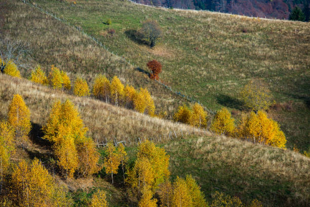 istock Mountain landscape in Carpathians, Romania 1441866824