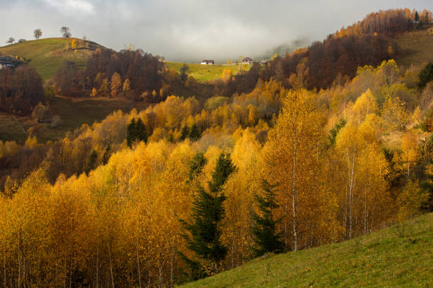 istock Mountain landscape in Carpathians, Romania 1441867194