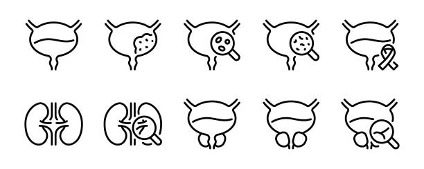 ilustrações de stock, clip art, desenhos animados e ícones de urology and urinary system related editable stroke outline icon isolated on white background flat vector illustration. pixel perfect. 64 x 64. - erectile dysfunction