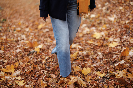 Close-up shot of female legs in jeans and boots walking on fallen autumn leaves in nature, front view