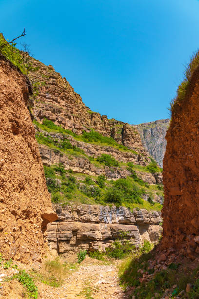 istock Dirt road in a mountain canyon 1441868283