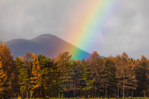A close up of a vibrant bright rainbow in the rural North Japan country side.
