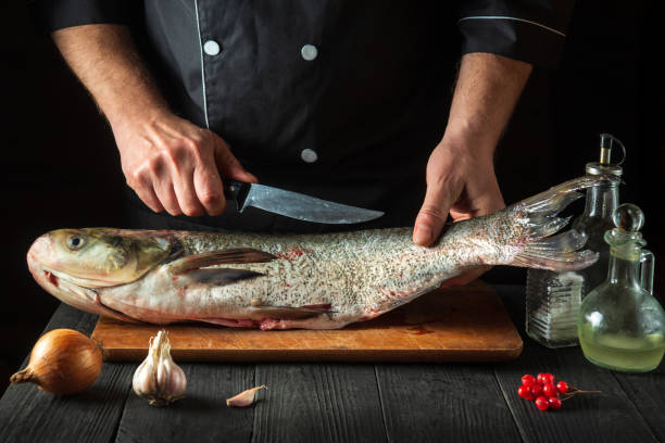 istock Professional chef prepares silver carp in the restaurant kitchen. Preparation for cutting fish with a knife. Work environment on the kitchen table 1441872380