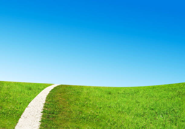 Dirty rural road in countryside on blue sky