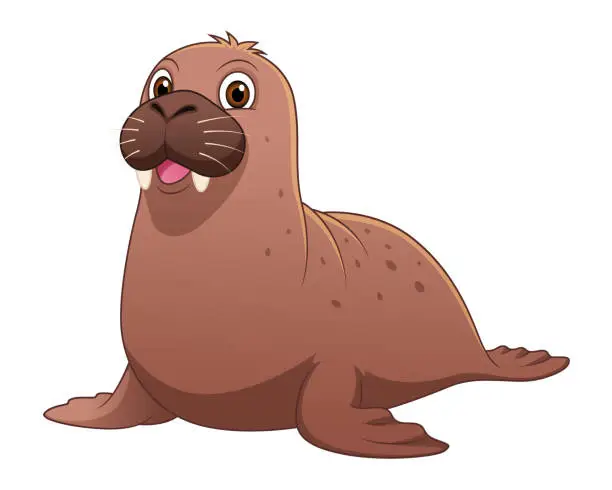 Vector illustration of Little Walrus Cartoon Animal Illustration