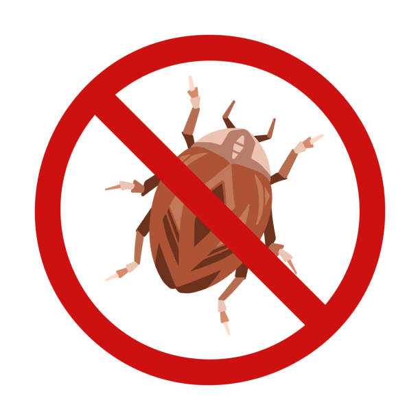 バグのあるベクター禁止標識。虫に刺される危険があります。ナンキンムシは禁止されています。禁じられたサイン - ナンキンムシ点のイラスト素材／クリップアート素材／マンガ素材／アイコン素材