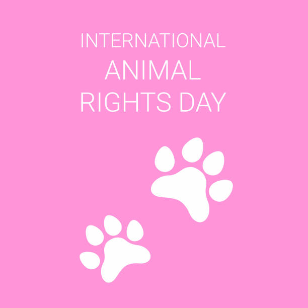kuvapankkikuvitukset aiheesta eläinten oikeuksien päivän vektorikortti, jossa on valkoiset koiran tai kissan tassut. kansainvälinen eläinoikeuspäivä. valkoisten tassujen siluetti vaaleanpunaisella kortilla litteä vektorikuva - animal welfare