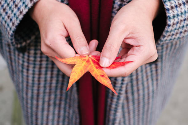 istock Young woman holding red maple leaf outdoors in autumn 1441883437