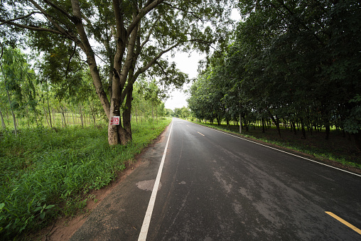 road landscape in northeast thailand