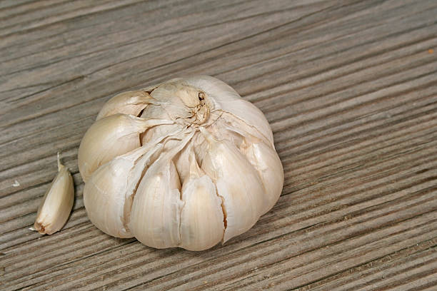 garlic stock photo