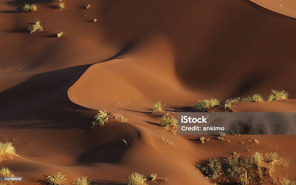Astratto Dune del namib - Foto stock royalty-free di Africa