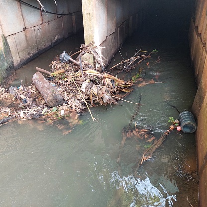 leaf litter and household waste that clogs the river flow