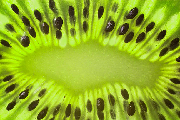kiwifruit slice of kiwifruit with light shining through goodfood stock pictures, royalty-free photos & images
