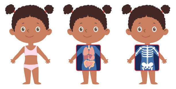 African Little Girl Showing X ray Little Kid with x-ray screen showing internal organs and skeleton Vector African Little Girl Showing X ray Little Kid with x-ray screen showing internal organs and skeleton. kid body parts stock illustrations