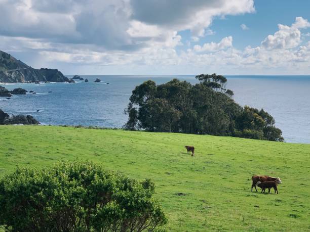 istock Big Sur and Monterey Bay Area 1441887616